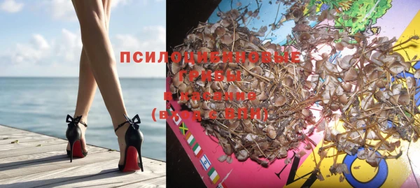 твердый Алексеевка