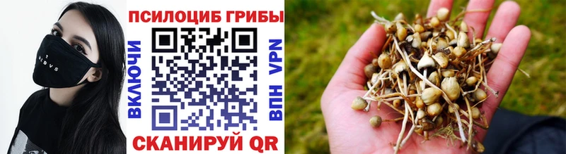 Галлюциногенные грибы мухоморы  Дно 